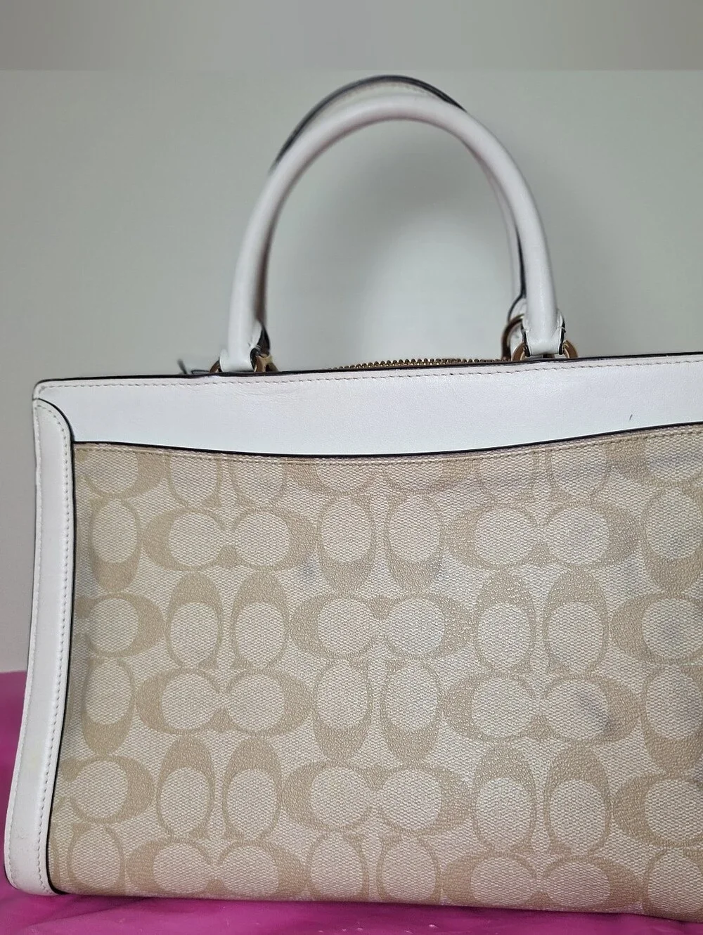 Coach ZOE Carryall Signature Canvas